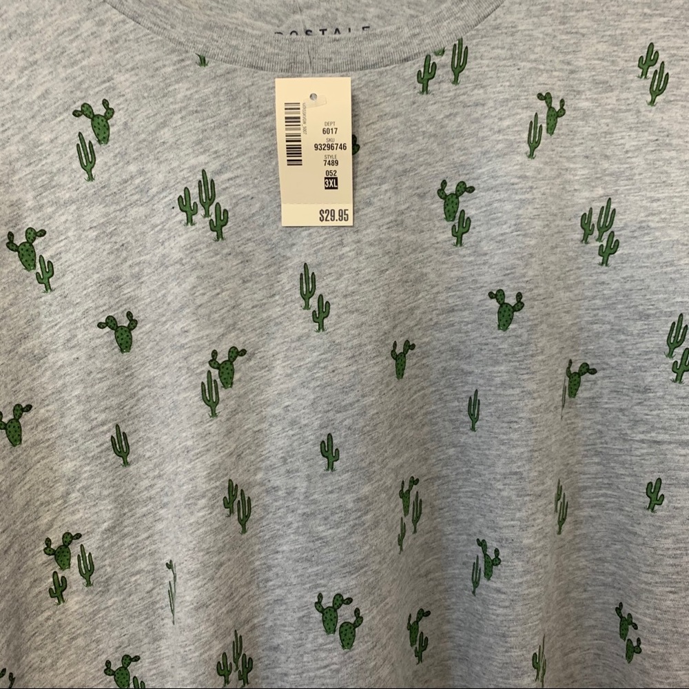 Aeropostal Men's Cactus T-Shirt 🌵